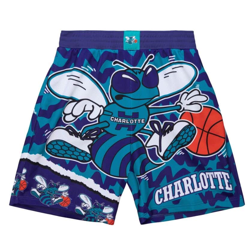 Shop charlotte hornets mitchell and ness shorts Factory Sale